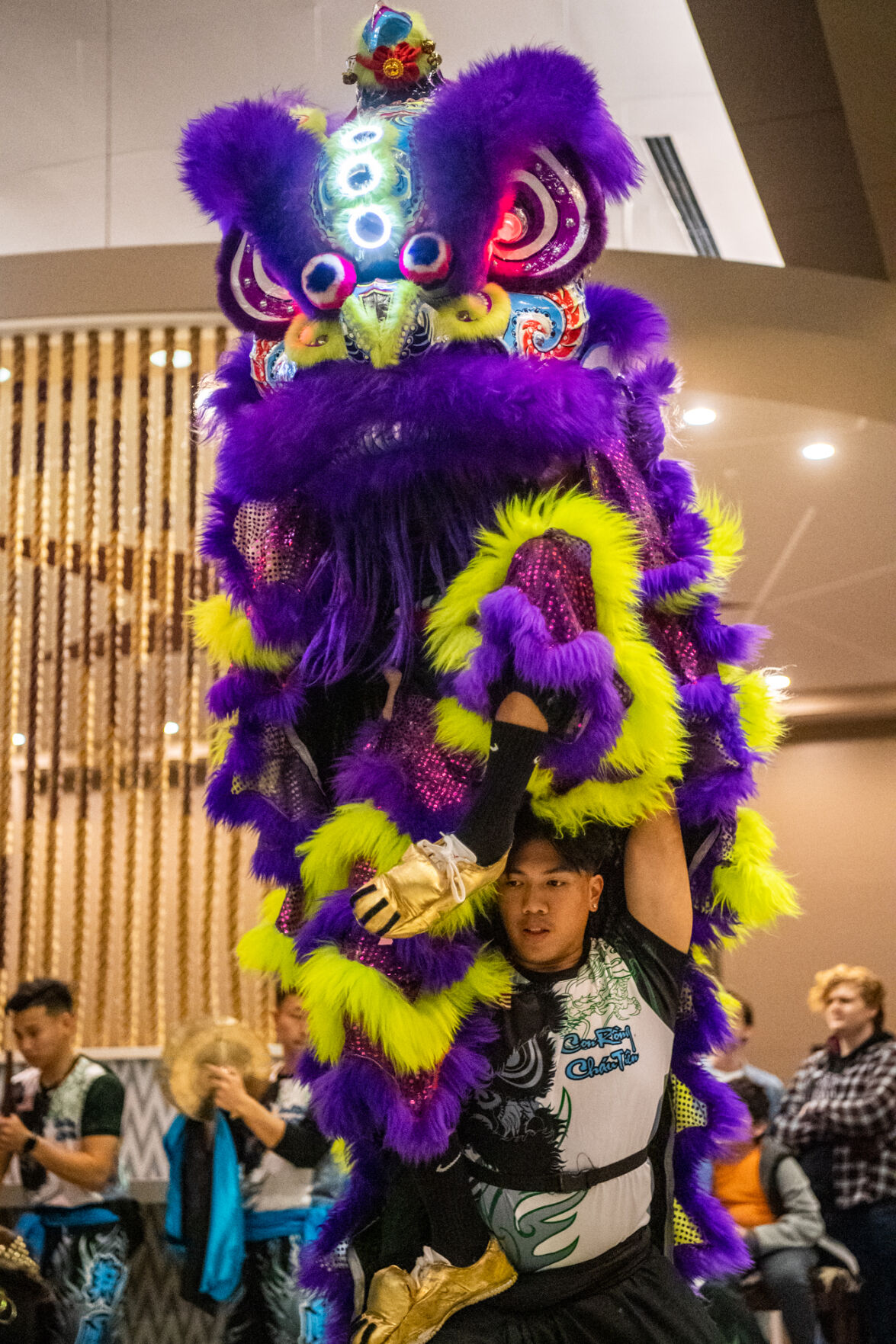 Lion Dance